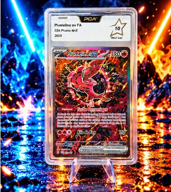 Plumeline ALT PCA 10 !! PROMO 024
